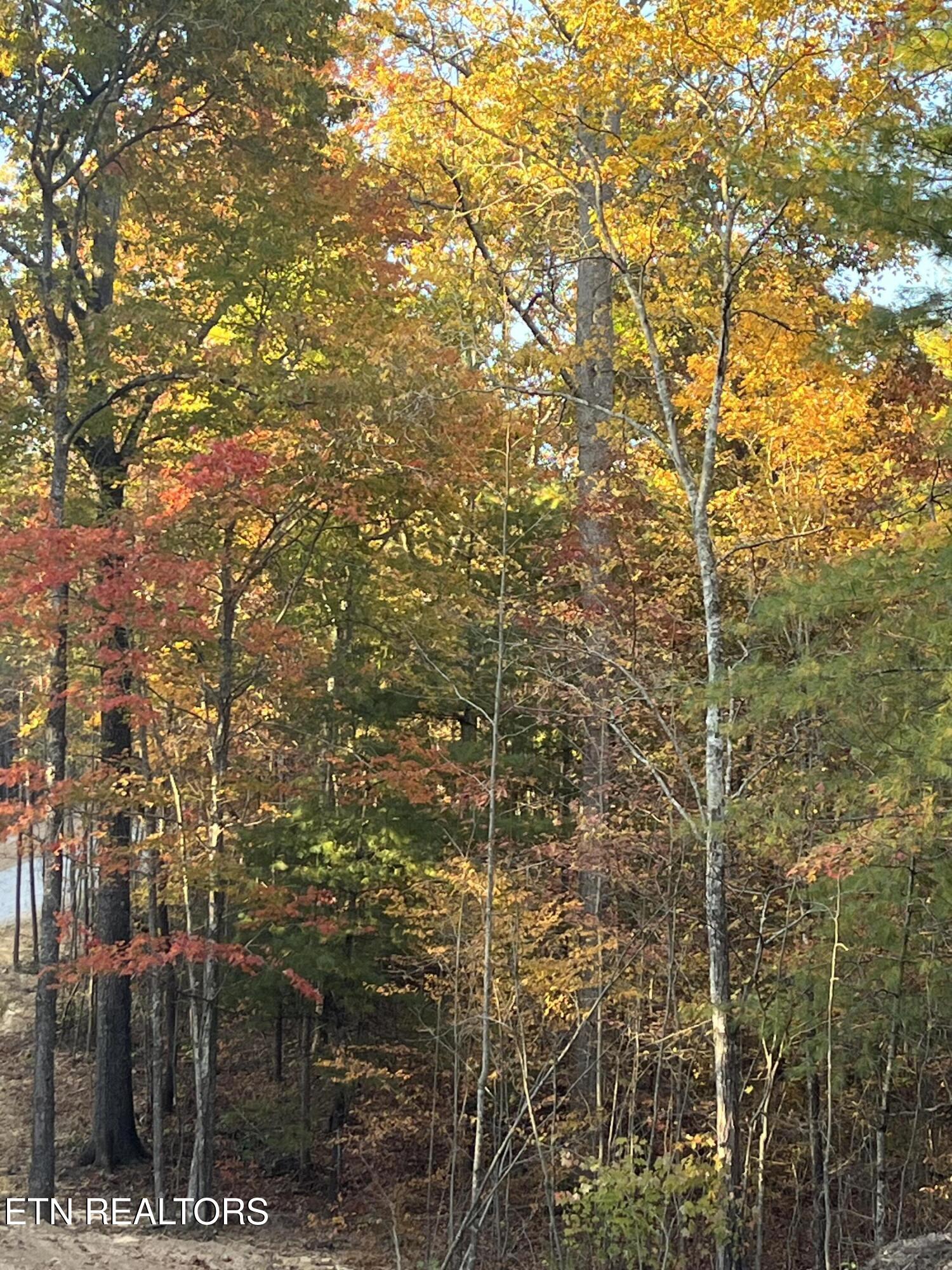 103 Cherokee Path Property Photo 24