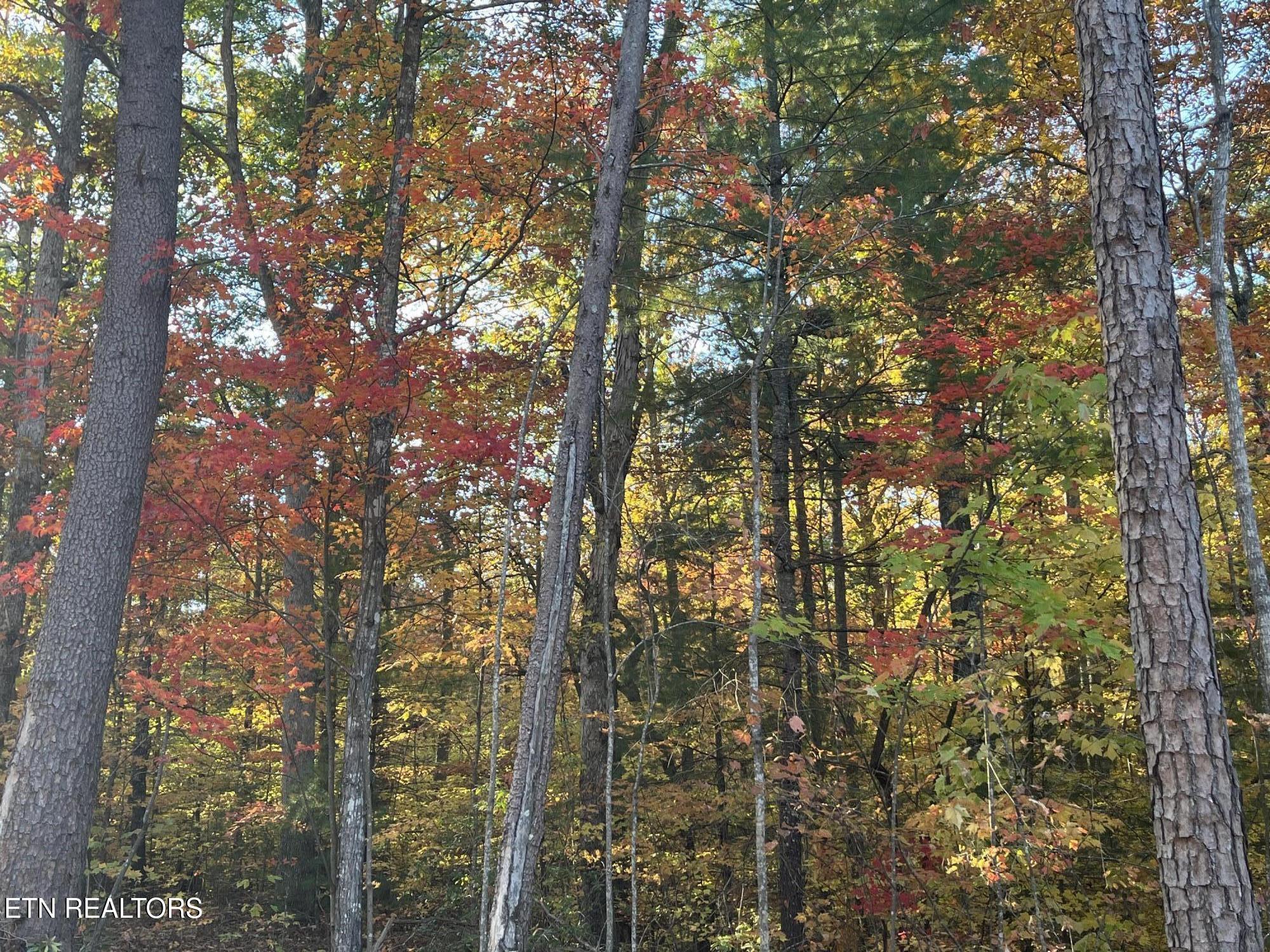 106 Cherokee Path Property Photo 8