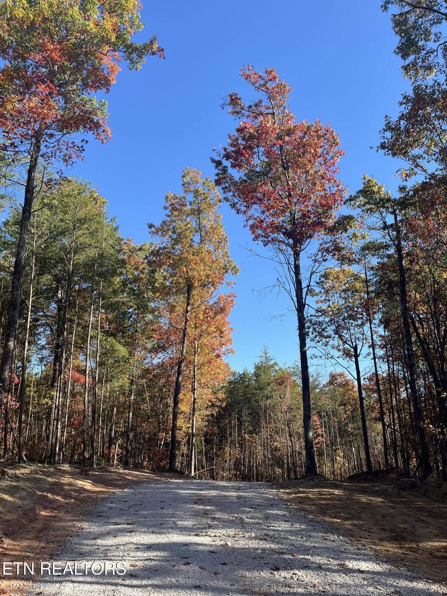 107 Cherokee Path Property Photo 1