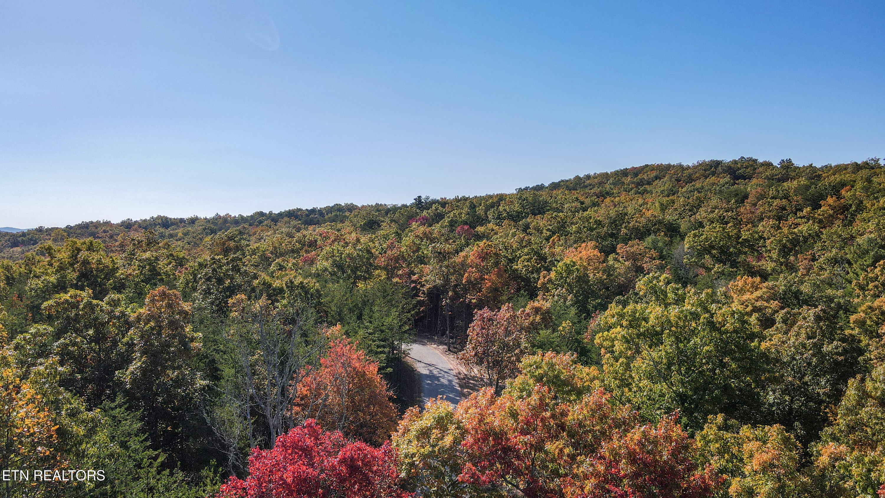 107 Cherokee Path Property Photo 4