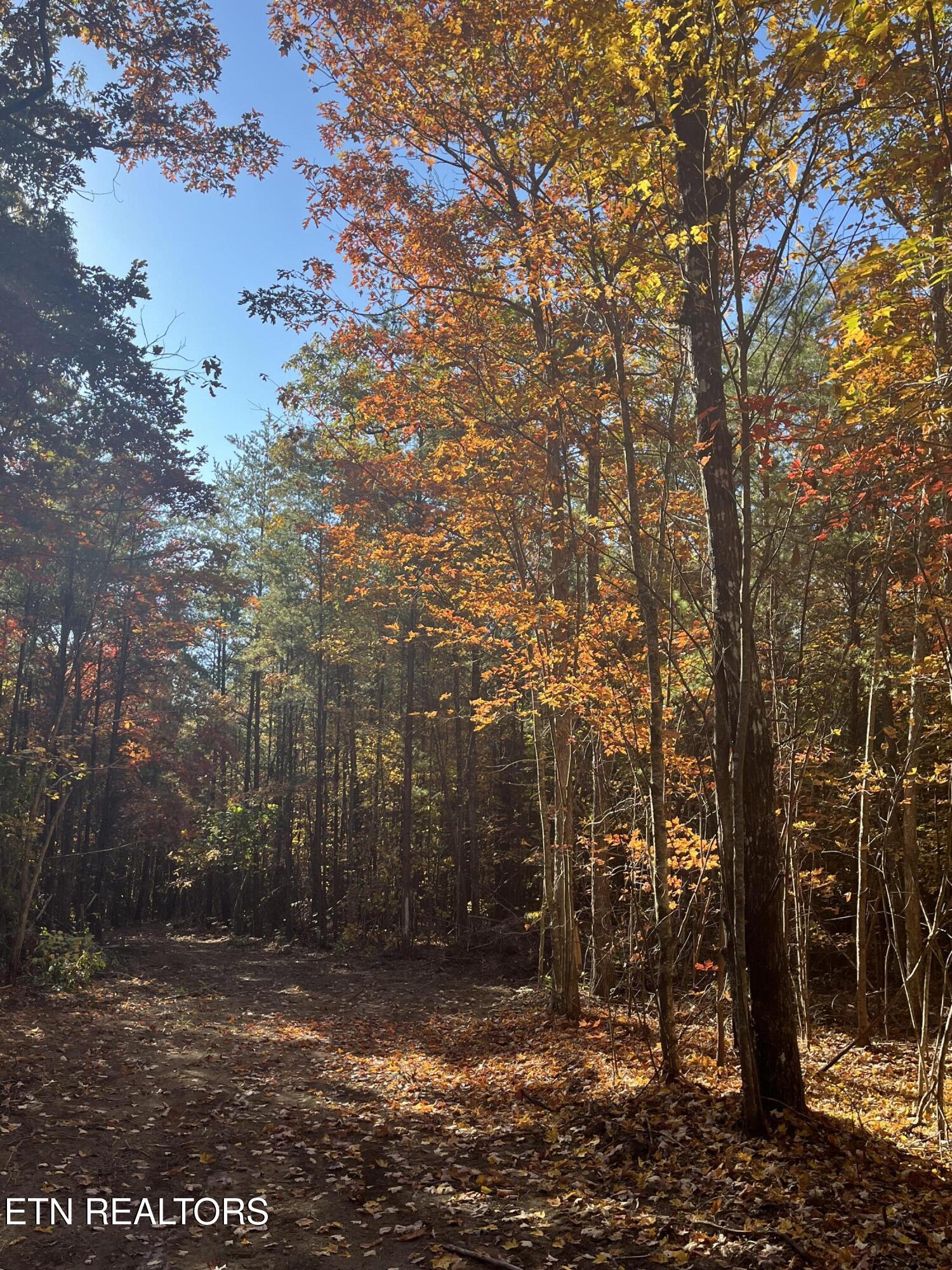 107 Cherokee Path Property Photo 7