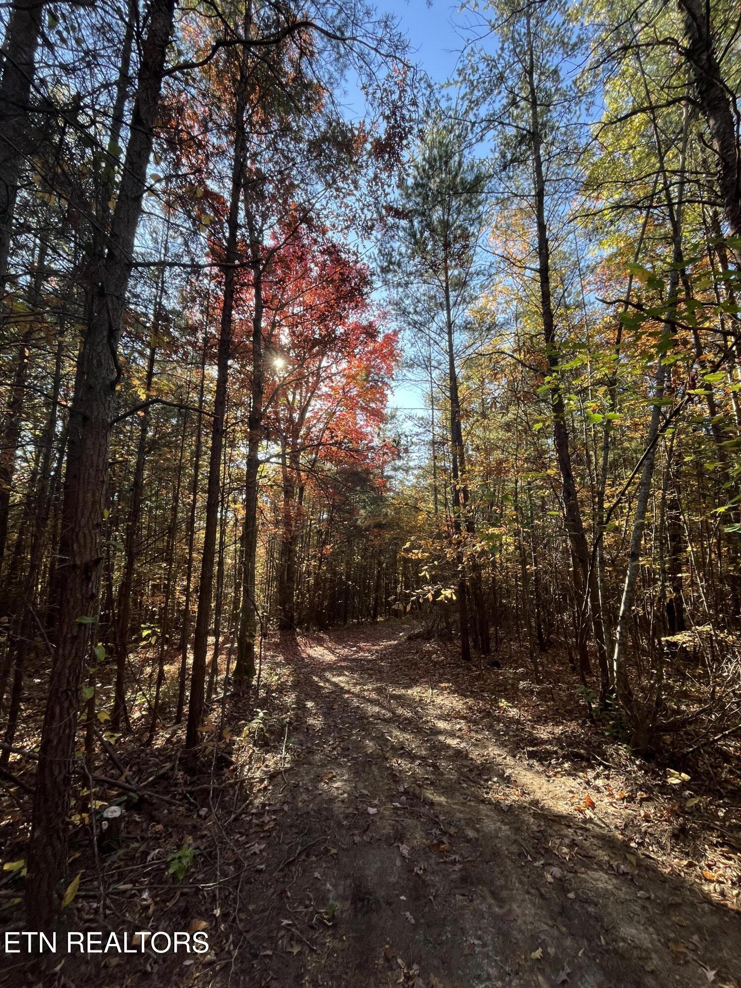 107 Cherokee Path Property Photo 15