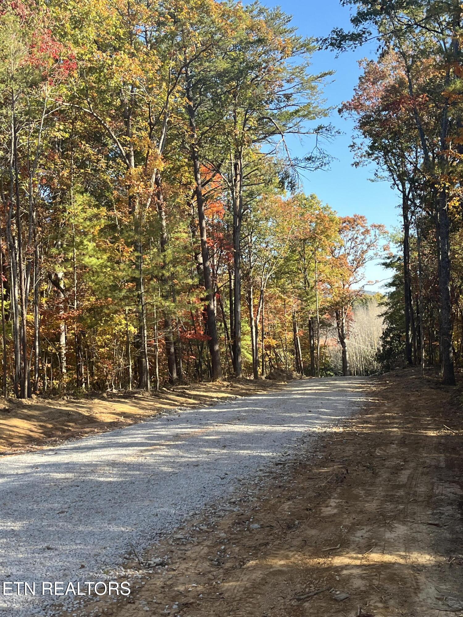 107 Cherokee Path Property Photo 19