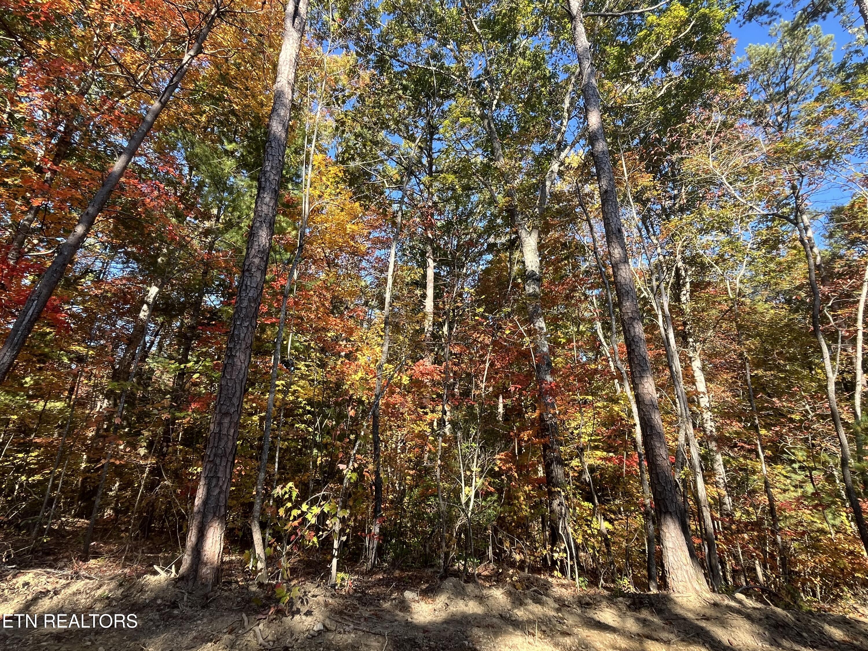 107 Cherokee Path Property Photo 22