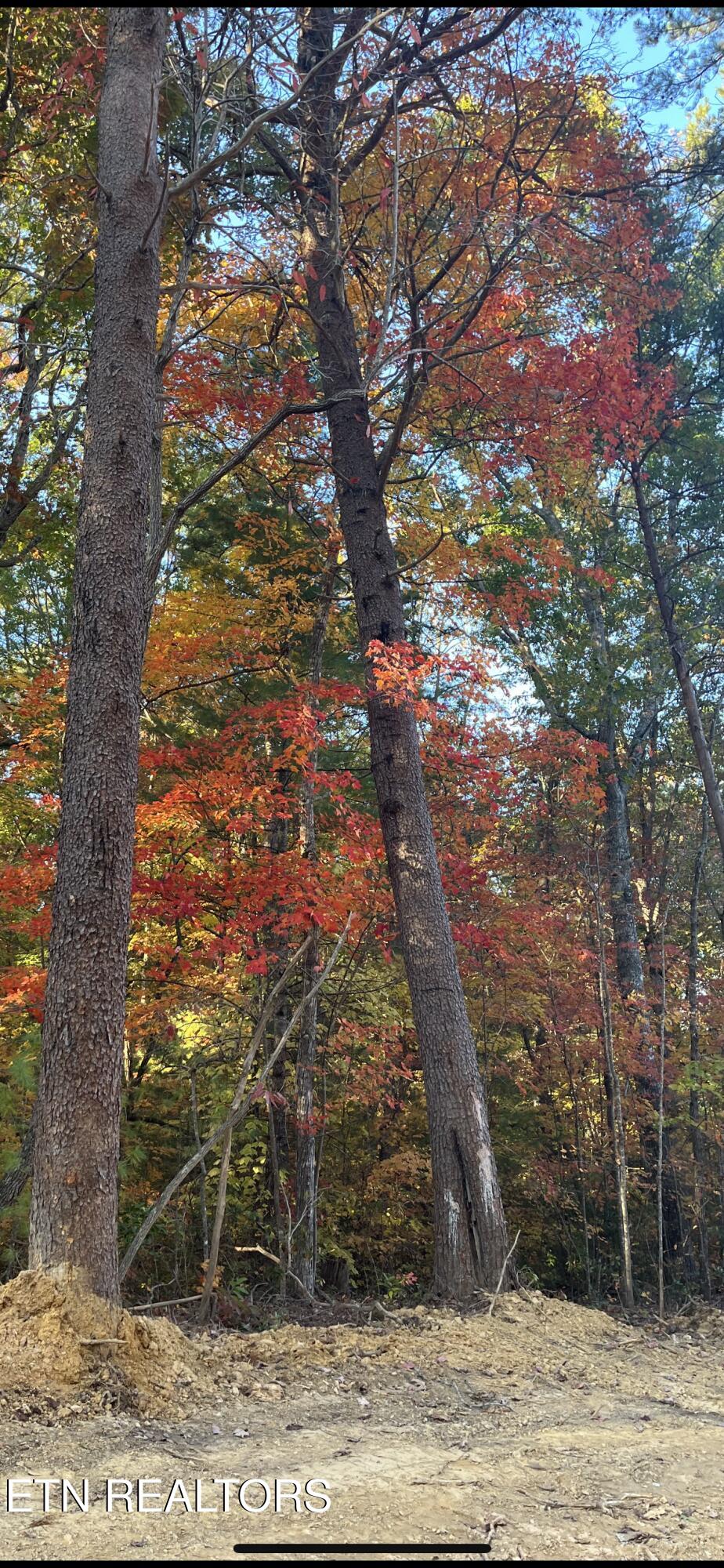 107 Cherokee Path Property Photo 35