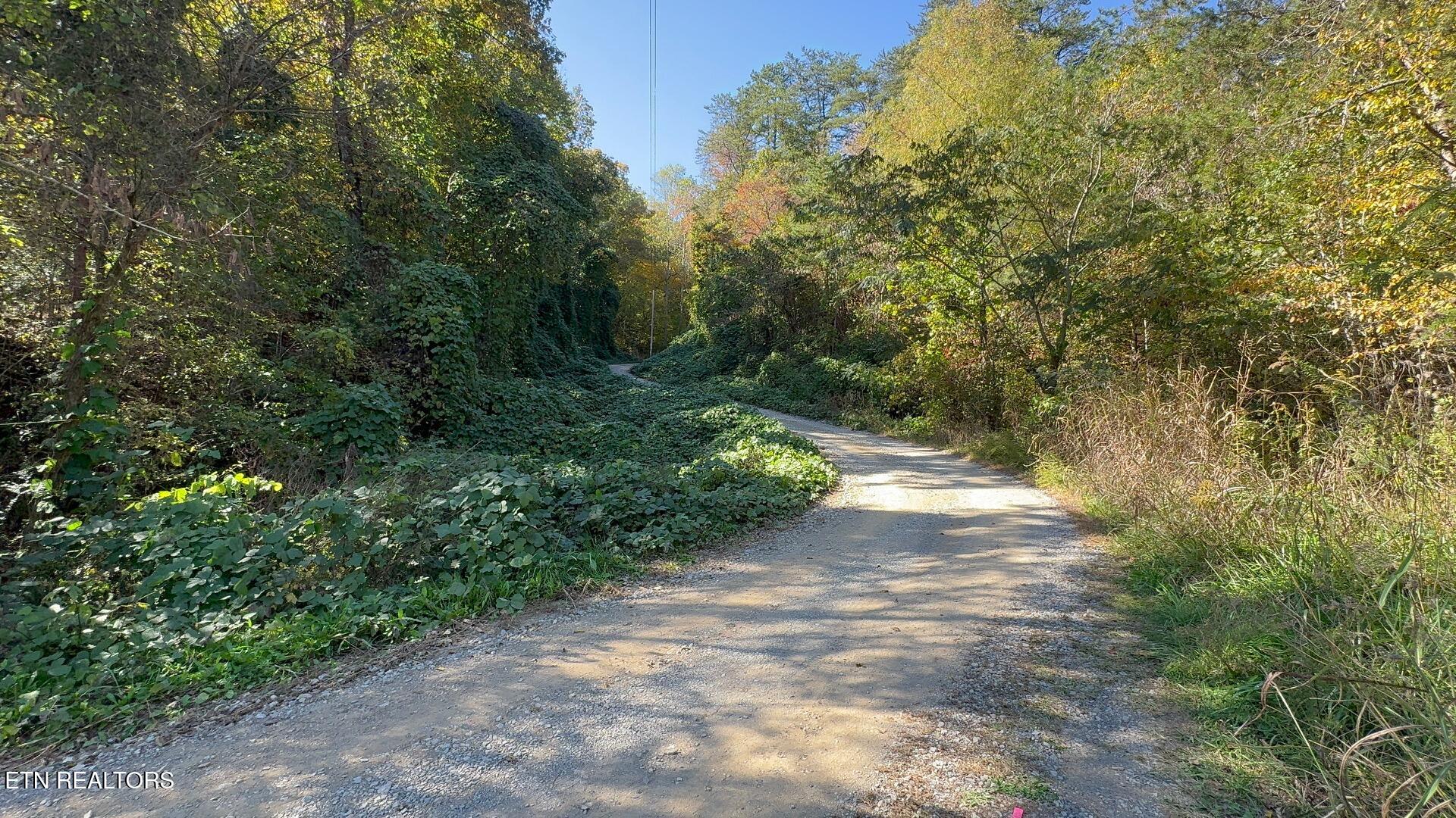 Padgett Mill Rd Property Photo 2