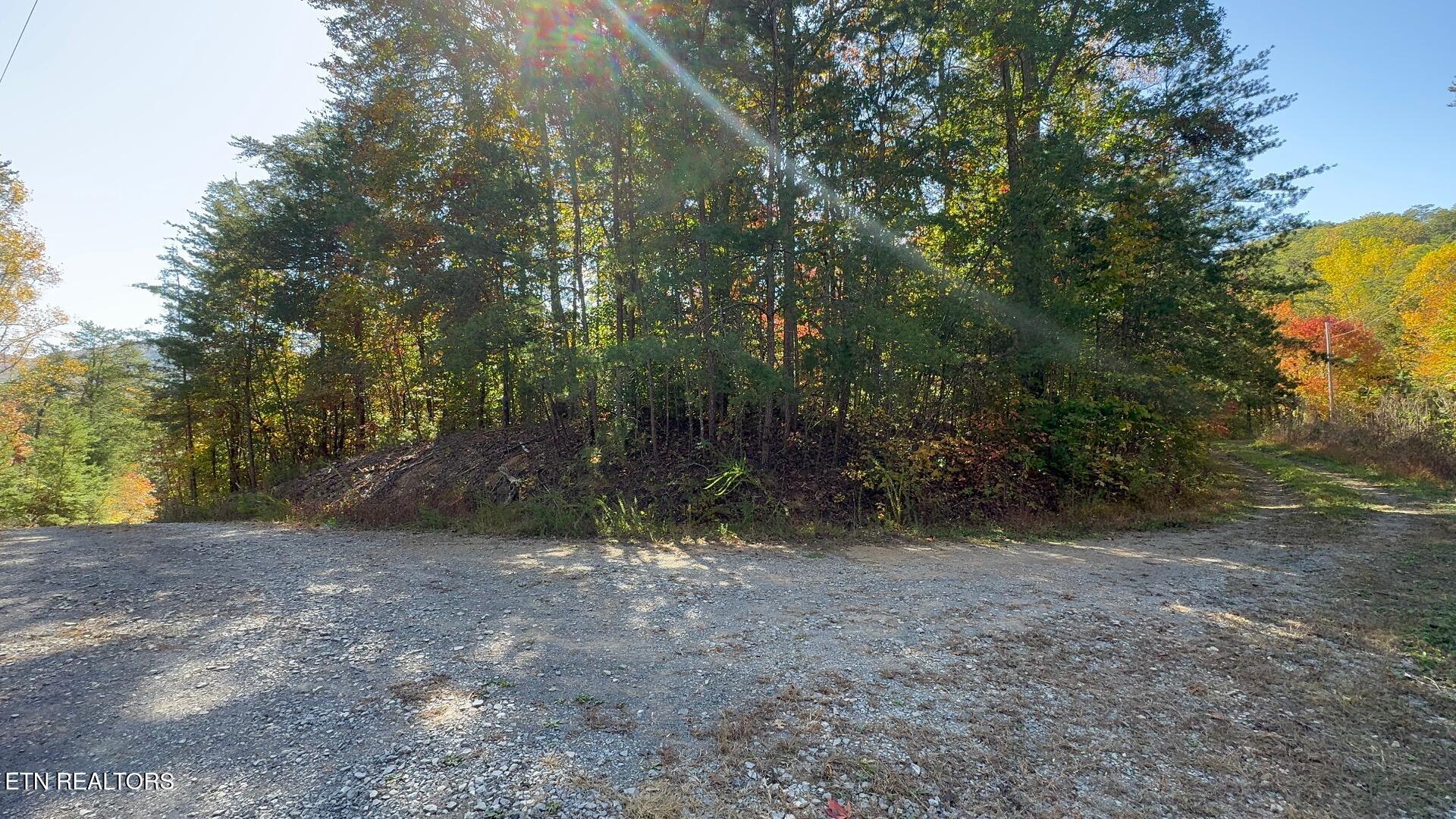 Padgett Mill Rd Property Photo 4