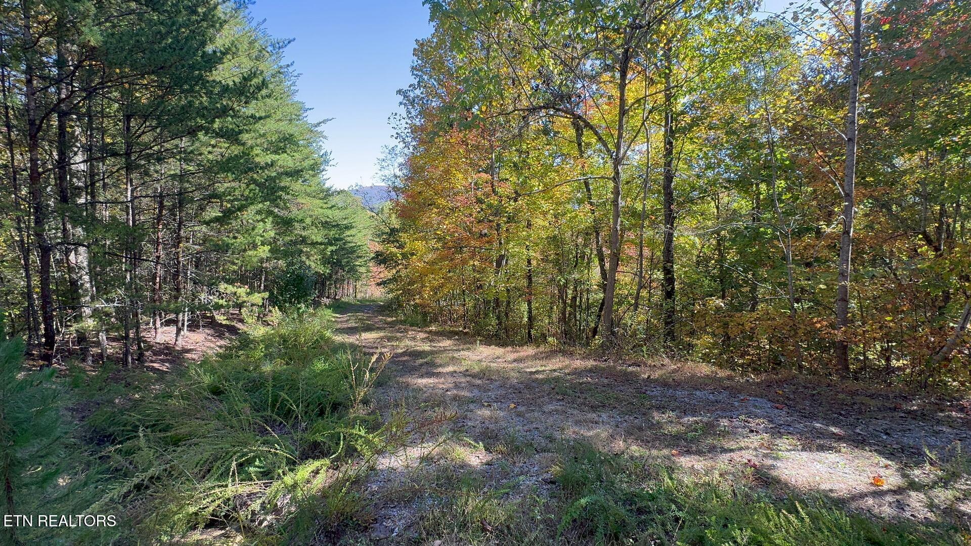 Padgett Mill Rd Property Photo 5