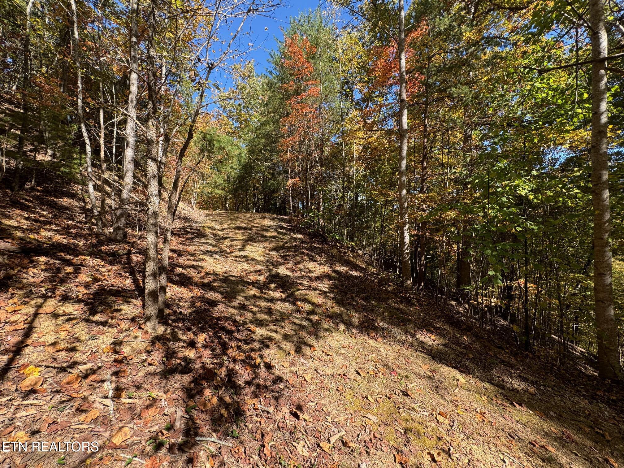 Padgett Mill Rd Property Photo 6
