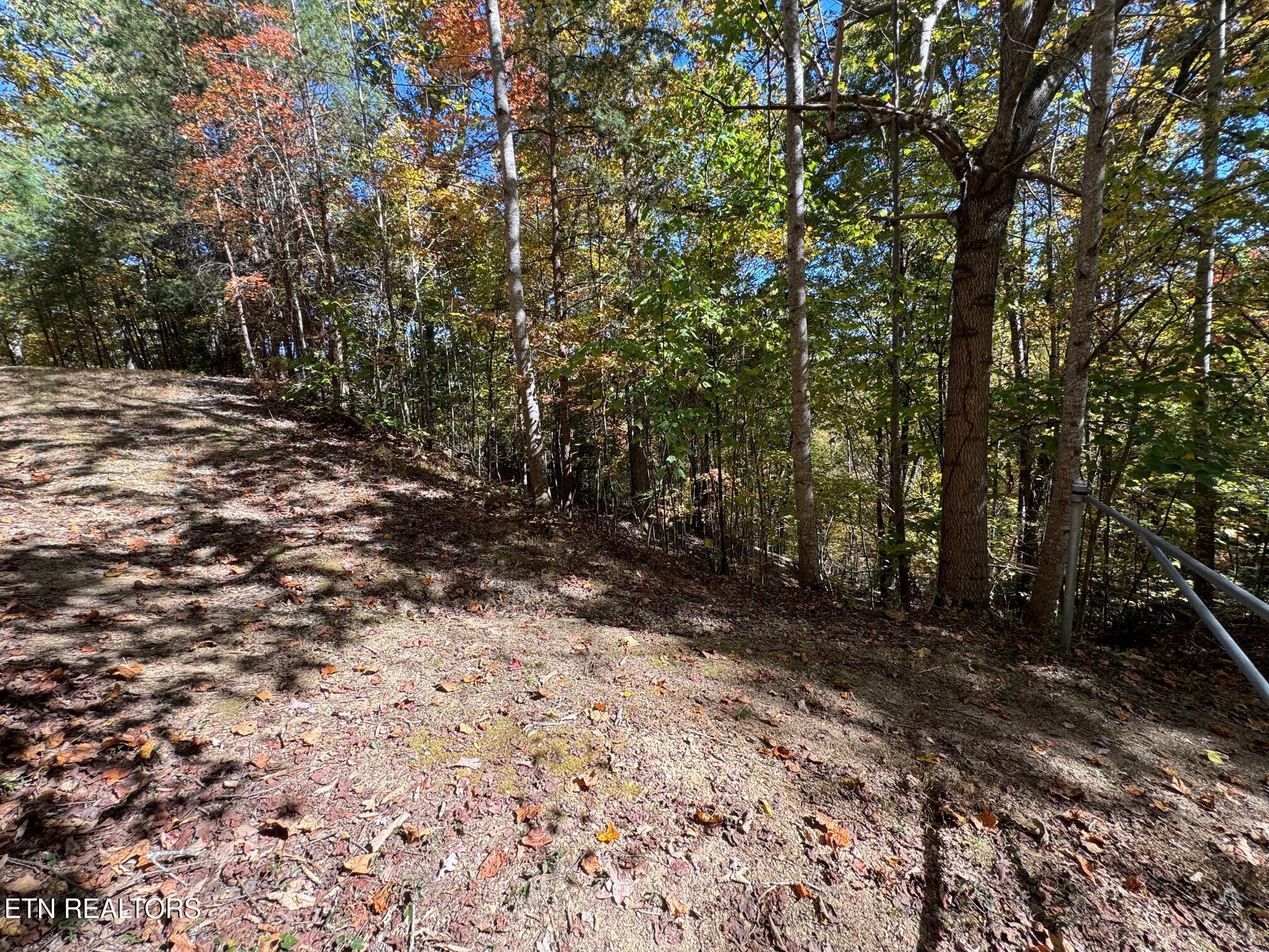 Padgett Mill Rd Property Photo 7