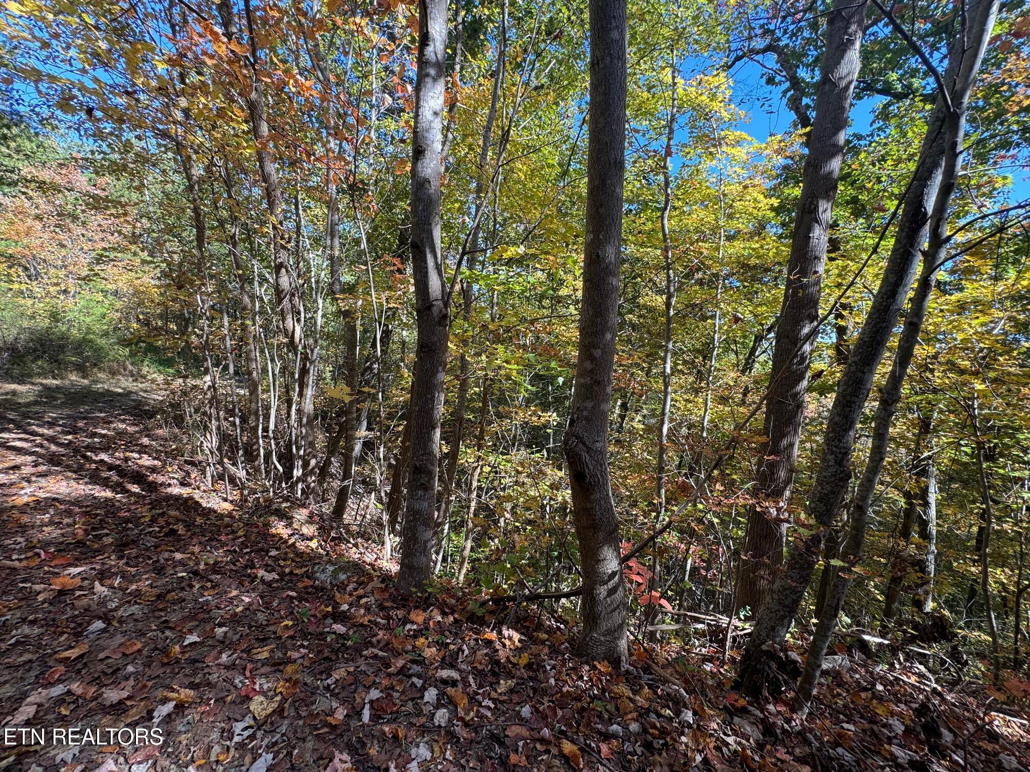 Padgett Mill Rd Property Photo 8