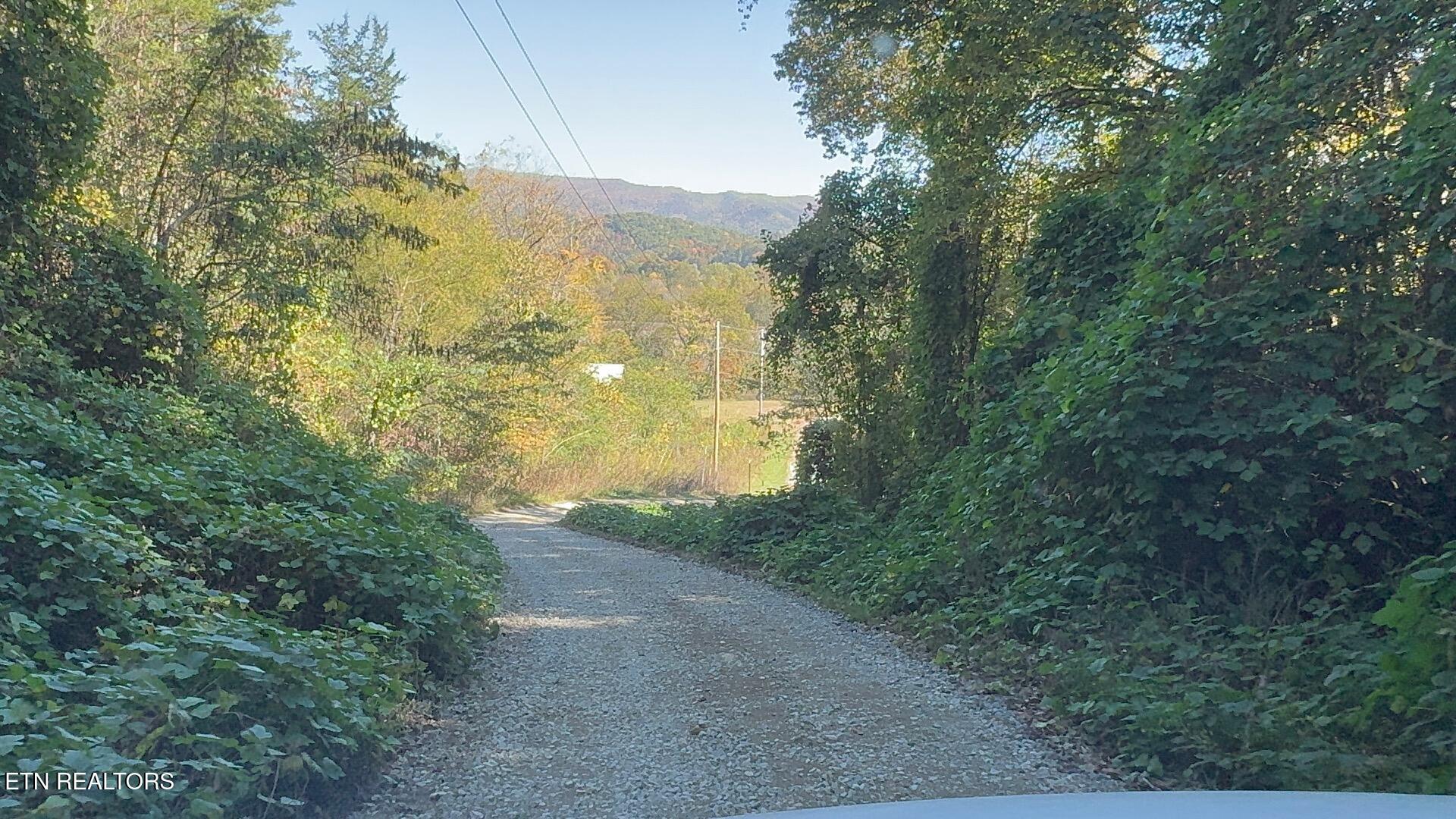 Padgett Mill Rd Property Photo 12
