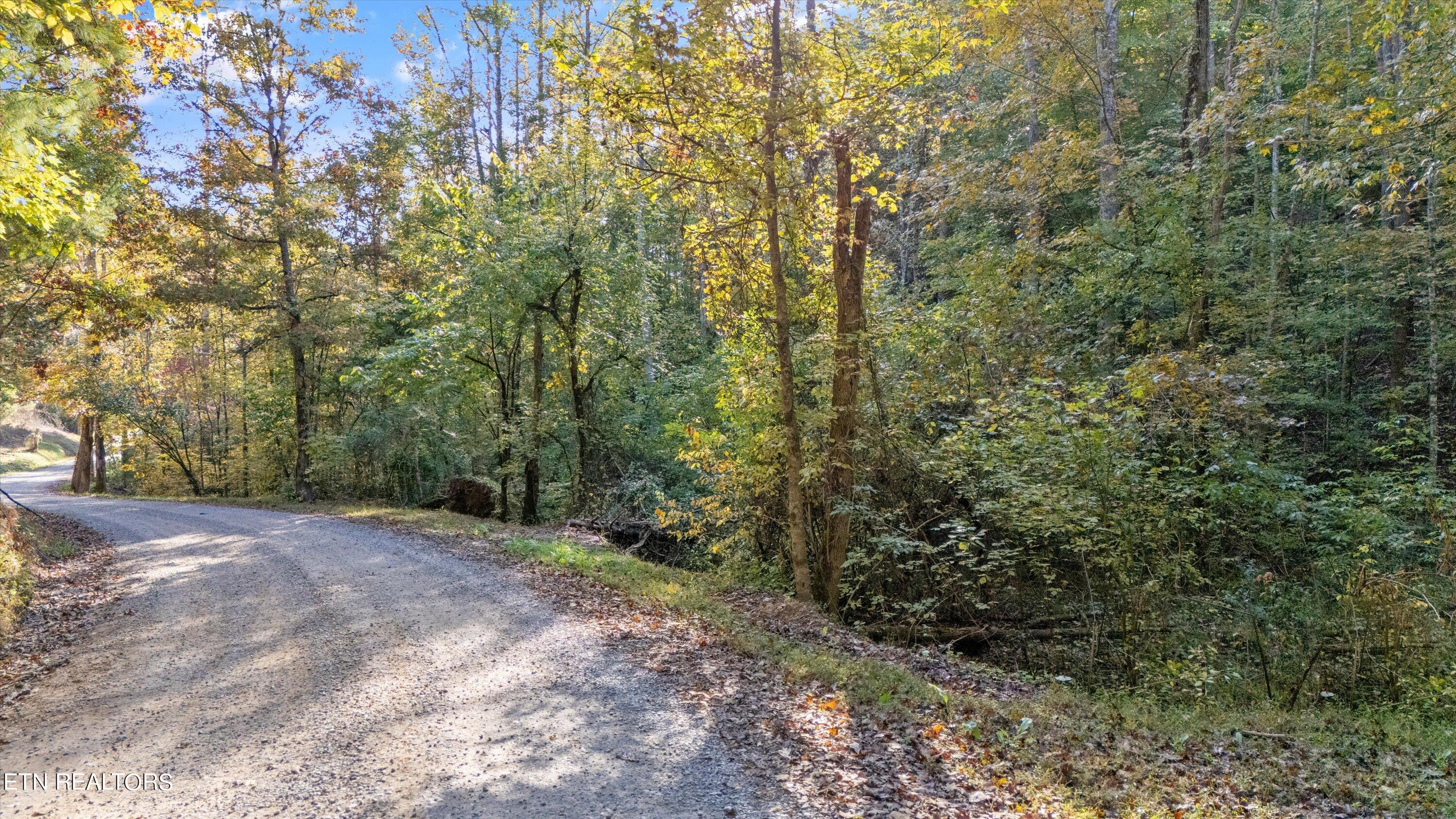 Sulpher Springs Way Property Photo 2