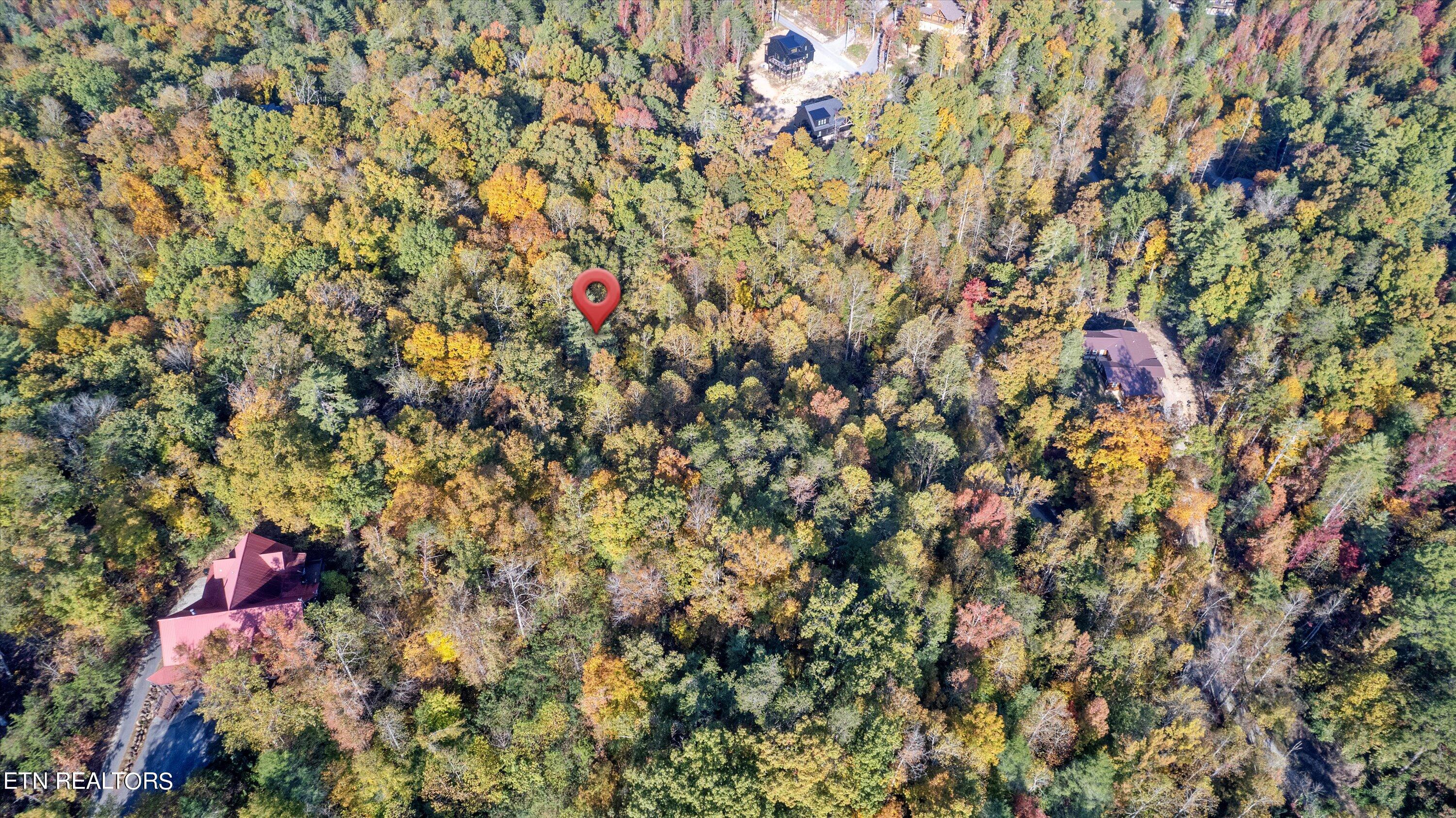 Sulpher Springs Way Property Photo 8