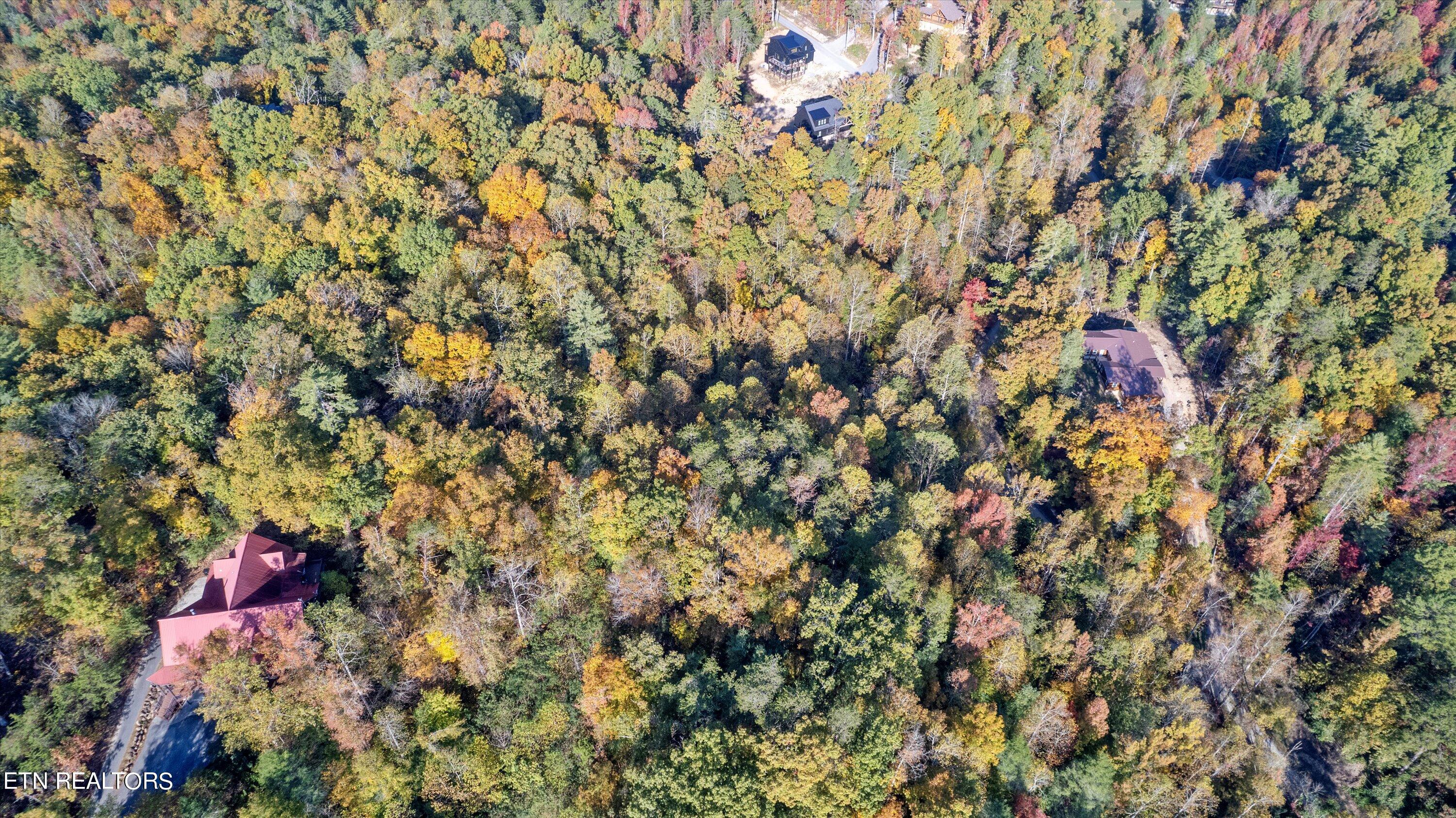 Sulpher Springs Way Property Photo 9
