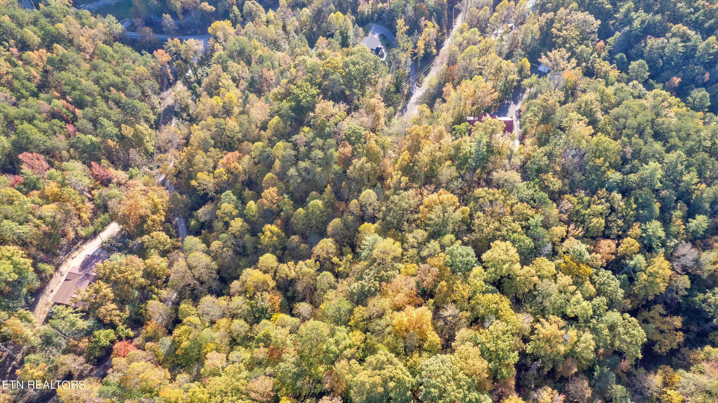 Sulpher Springs Way Property Photo 10
