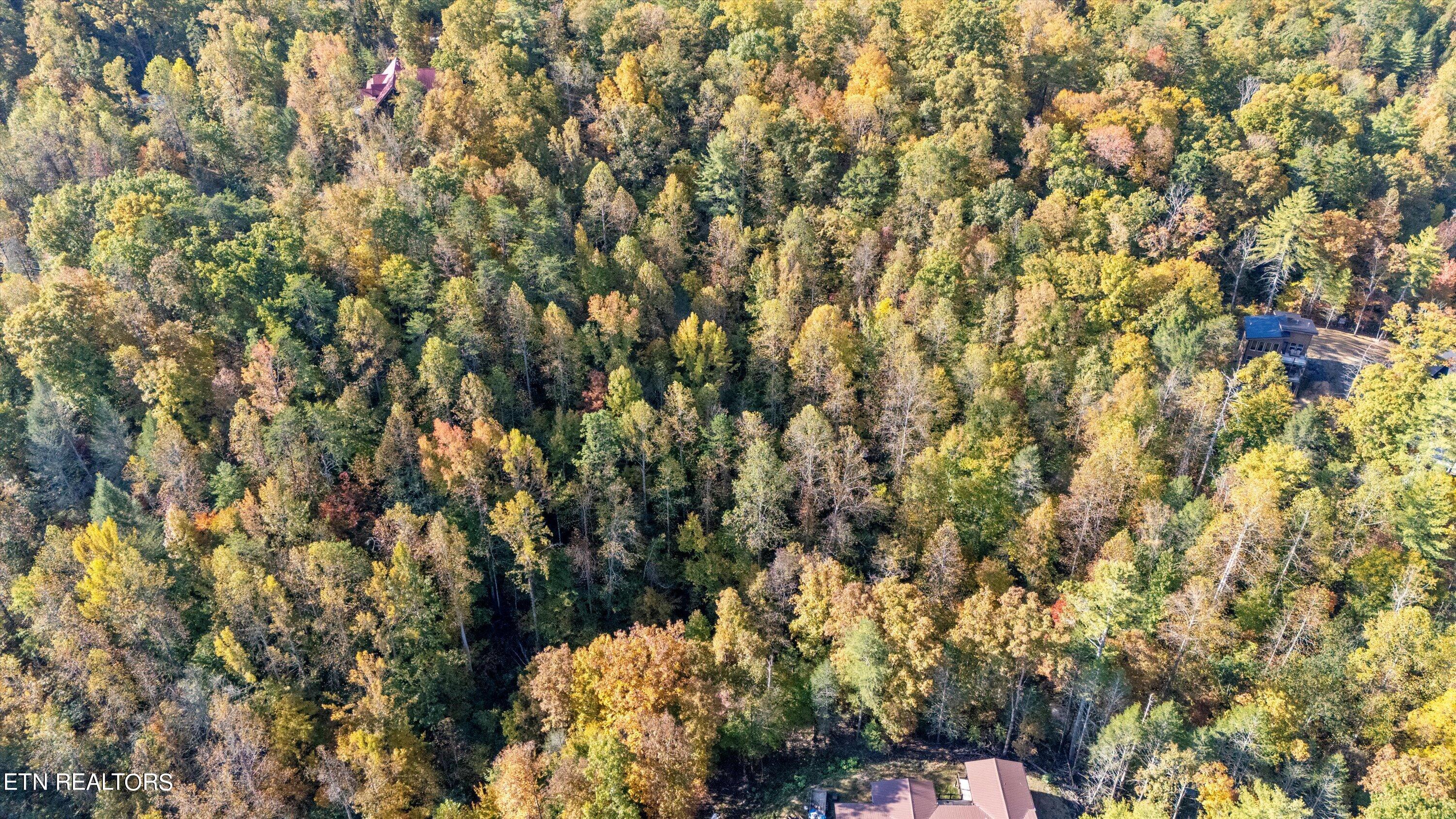 Sulpher Springs Way Property Photo 15