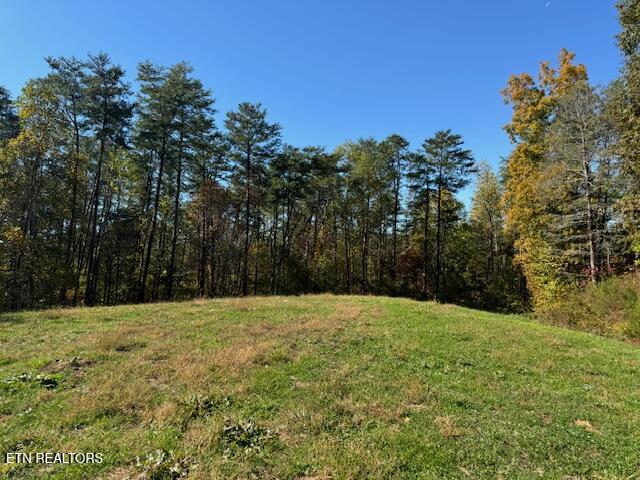 Tract 1 County Road 480 Property Photo 1