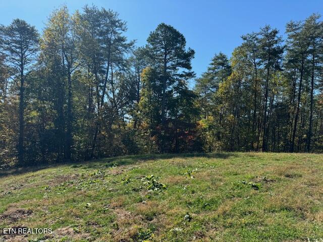 Tract 1 County Road 480 Property Photo 5