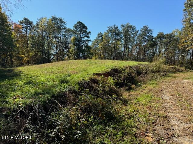 Tract 1 County Road 480 Property Photo 6