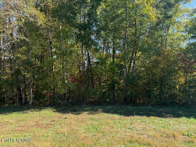 Tract 1 County Road 480 Property Photo 7