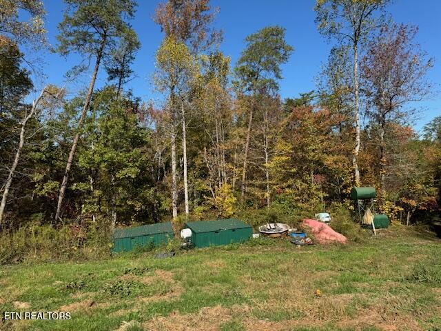 Tract 1 County Road 480 Property Photo 8