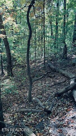 1301 E Brow Rd Property Photo 4