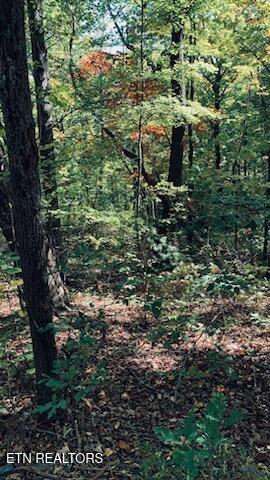 1301 E Brow Rd Property Photo 5