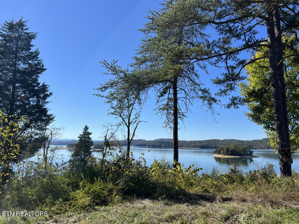 Lot 769 Russell Brothers Rd Property Photo 2