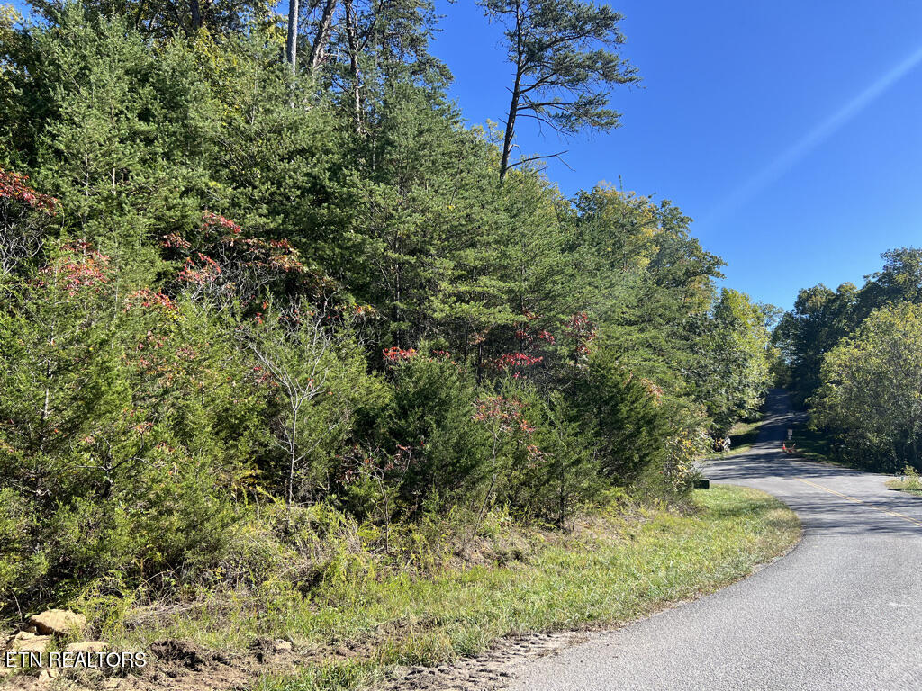 Lot 769 Russell Brothers Rd Property Photo 9