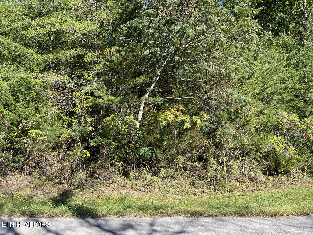 Lot 769 Russell Brothers Rd Property Photo 11