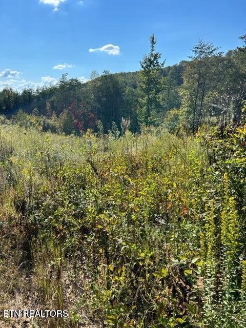 471 Bill Moser Rd Property Photo 2