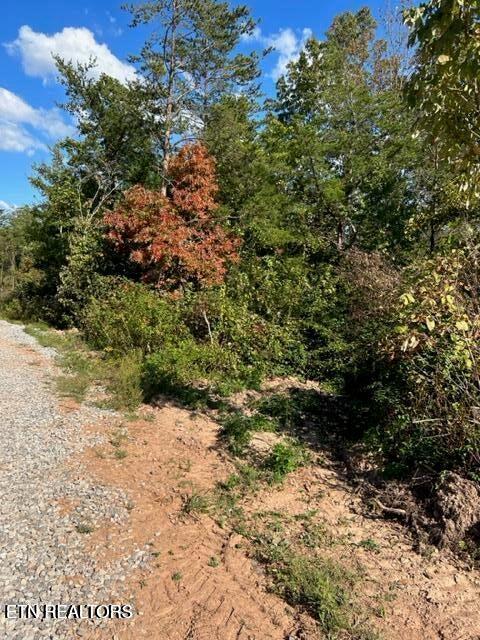 471 Bill Moser Rd Property Photo 4