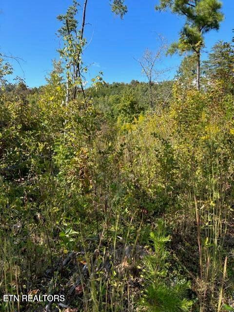 471 Bill Moser Rd Property Photo 5