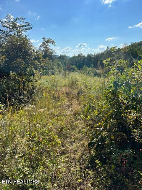 471 Bill Moser Rd Property Photo 7