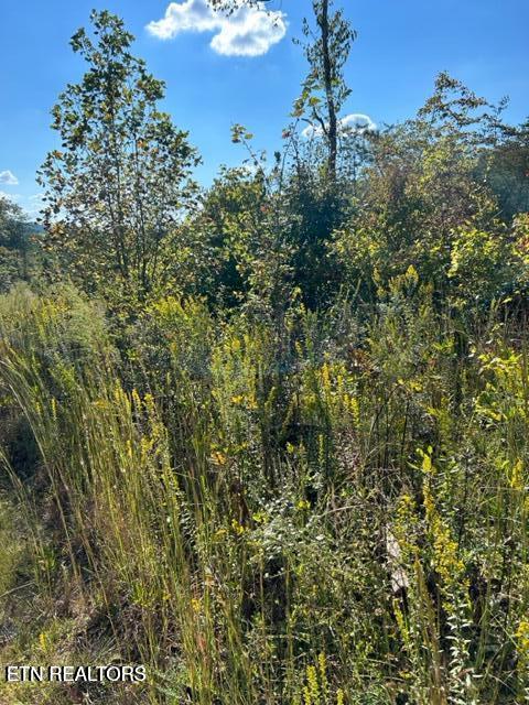 471 Bill Moser Rd Property Photo 8
