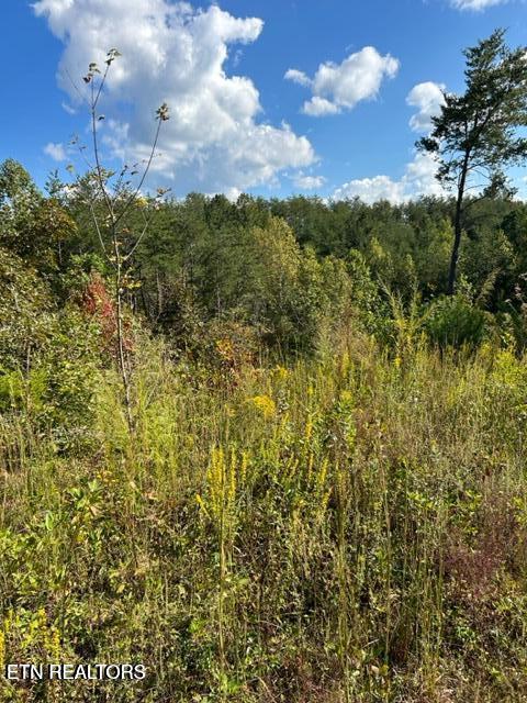 471 Bill Moser Rd Property Photo 13