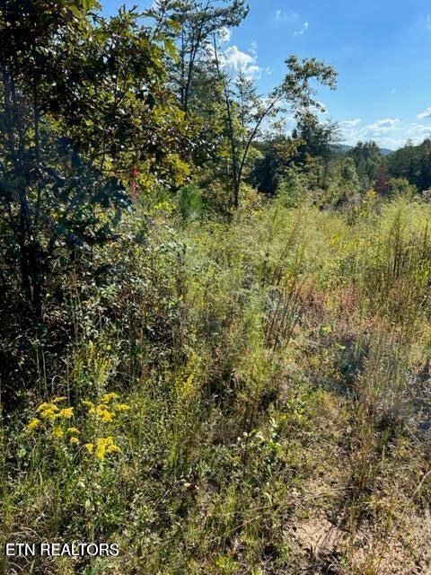 471 Bill Moser Rd Property Photo 16