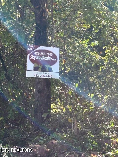 471 Bill Moser Rd Property Photo 18