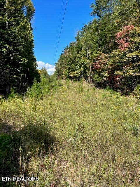 471 Bill Moser Rd Property Photo 20