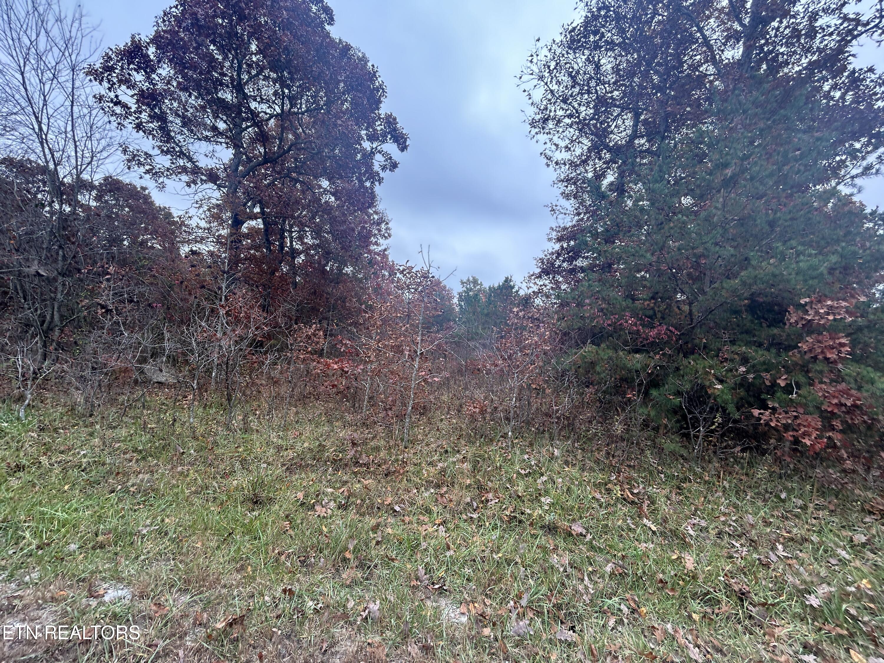 Old Collins Turnpike Property Photo 1