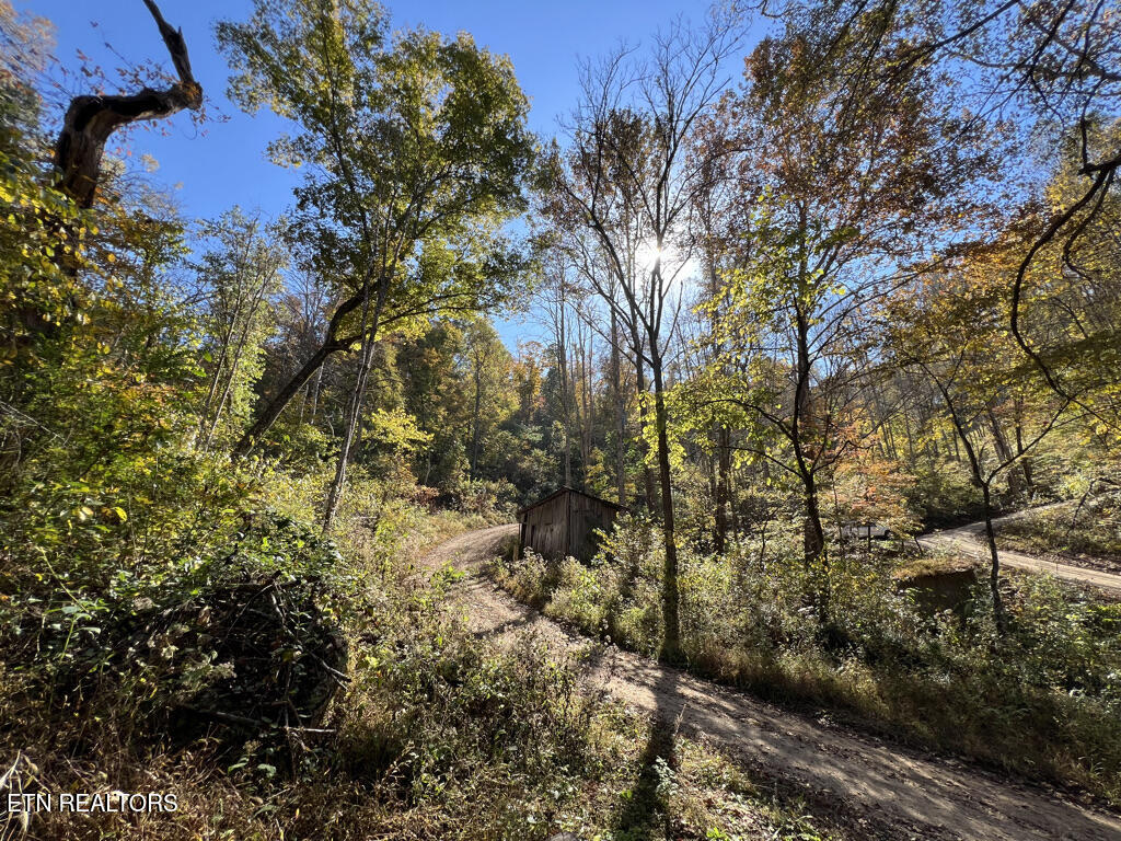 6.43 Acres Property Photo 5