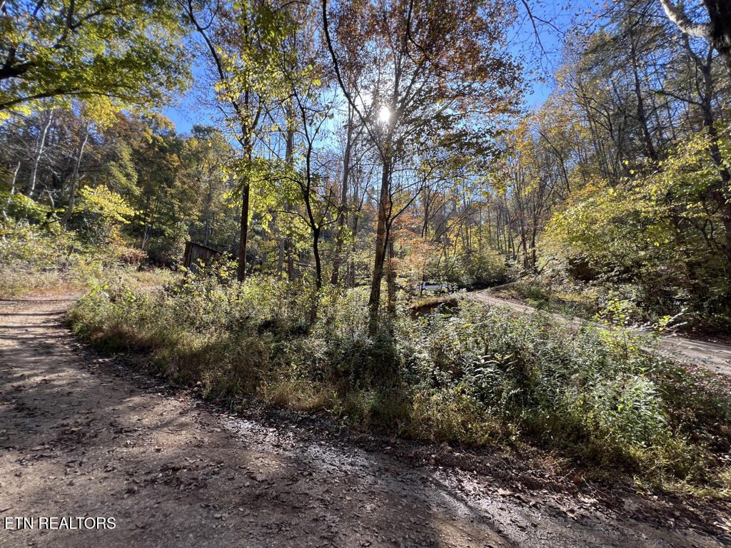 6.43 Acres Property Photo 10