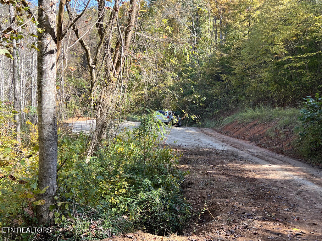 6.43 Acres Property Photo 15