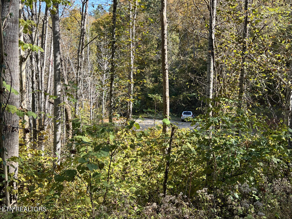 6.43 Acres Property Photo 16