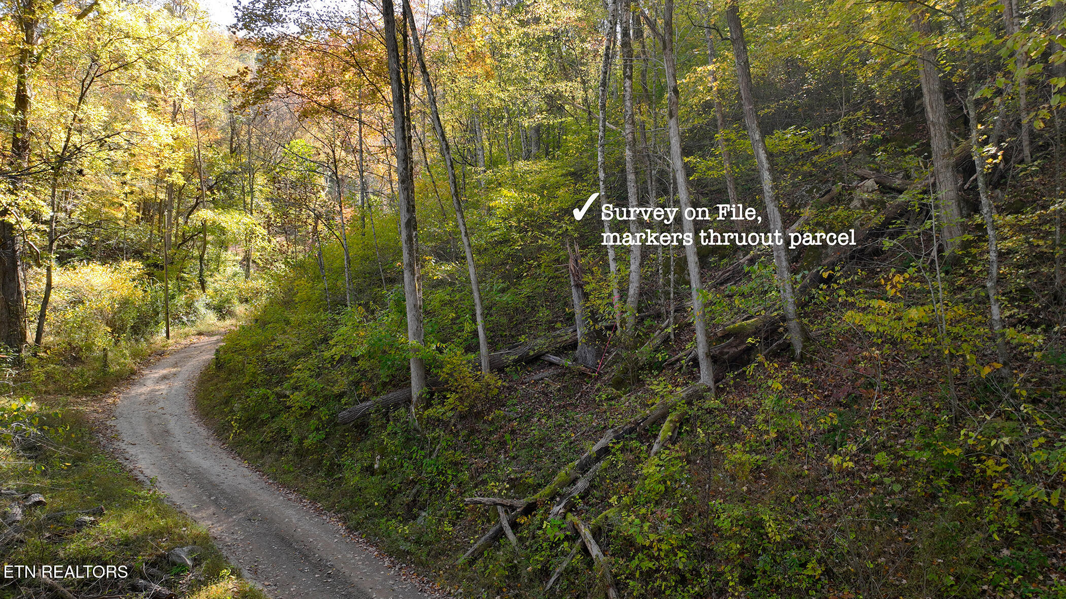 6.43 Acres Property Photo 20