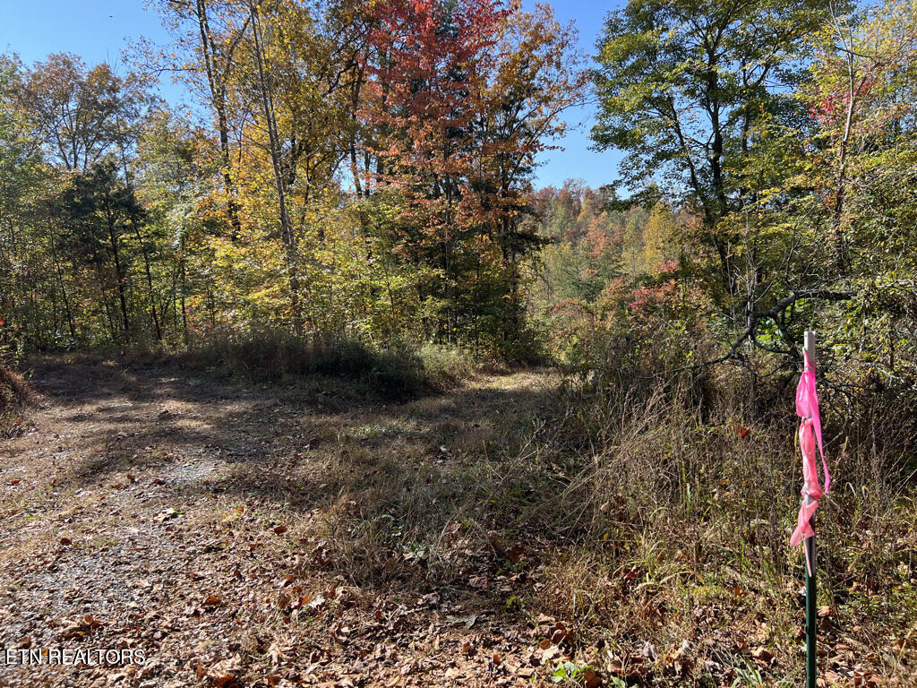 6.43 Acres Property Photo 23