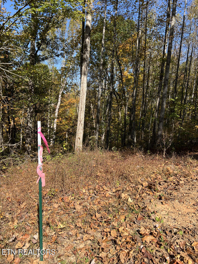 6.43 Acres Property Photo 24
