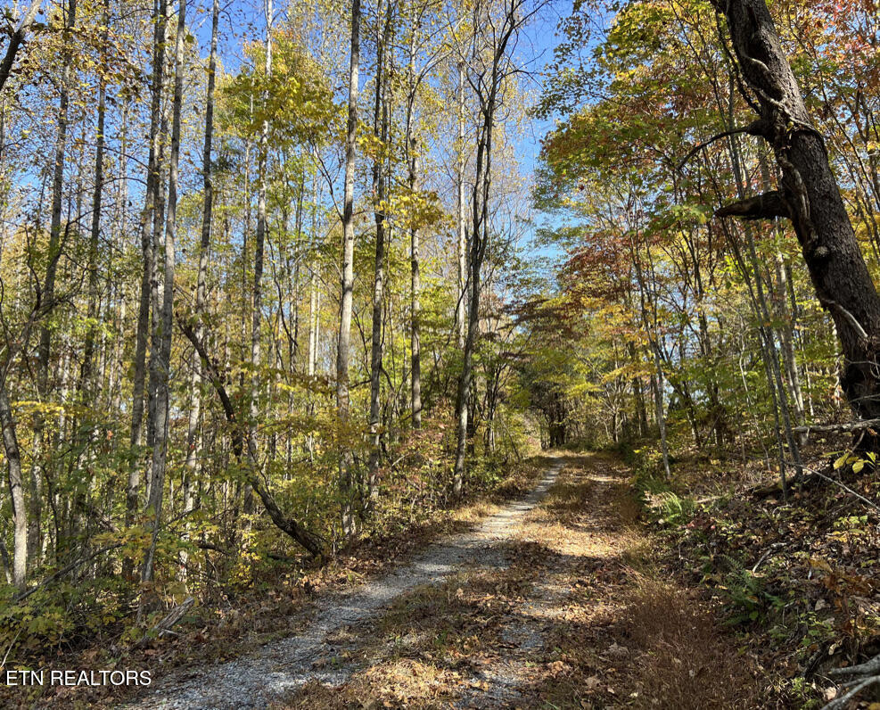 6.43 Acres Property Photo 28