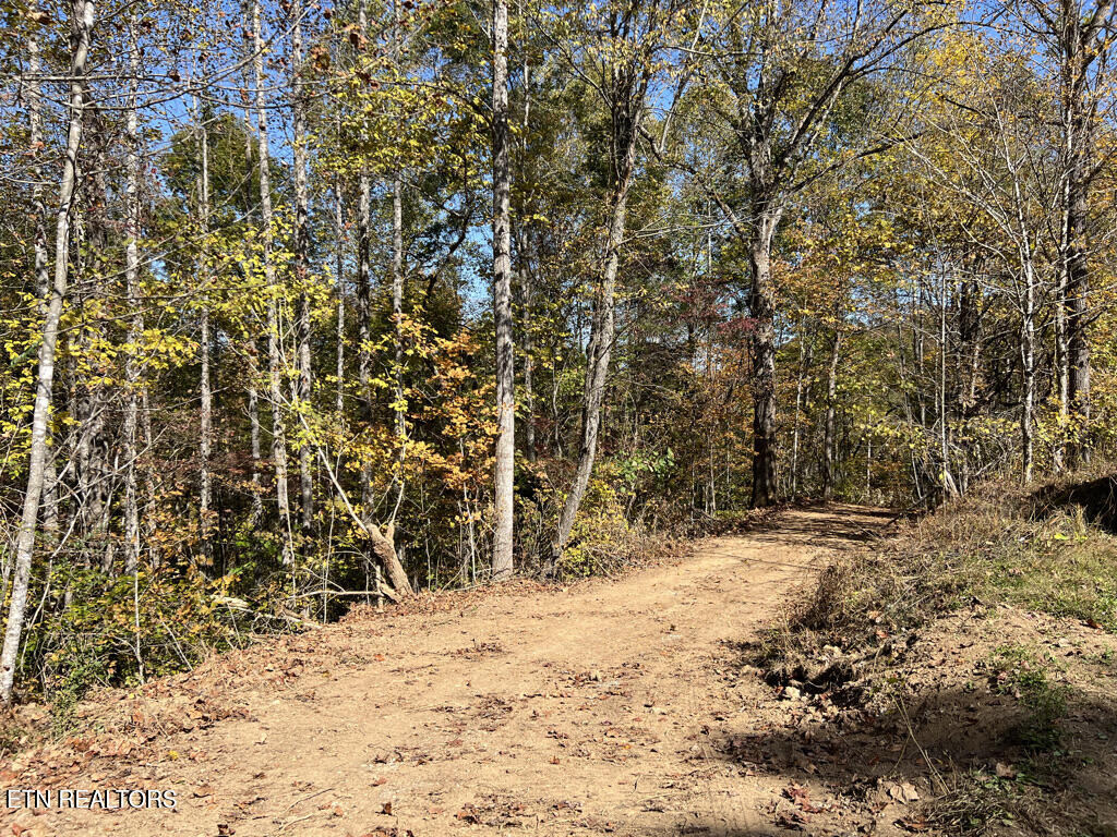 6.43 Acres Property Photo 29